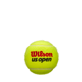 Bola de Tênis US Open Regular Extra Duty